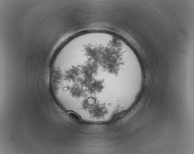 X0000113891224200910221410