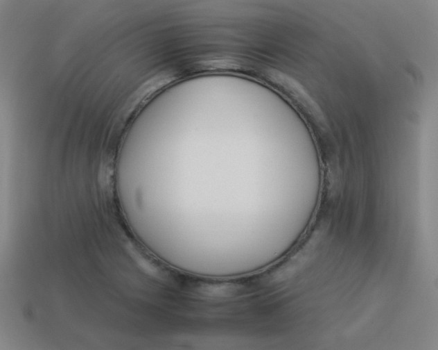 X0000113891225200910221410
