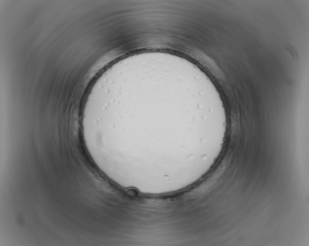 X0000113891226200910221410