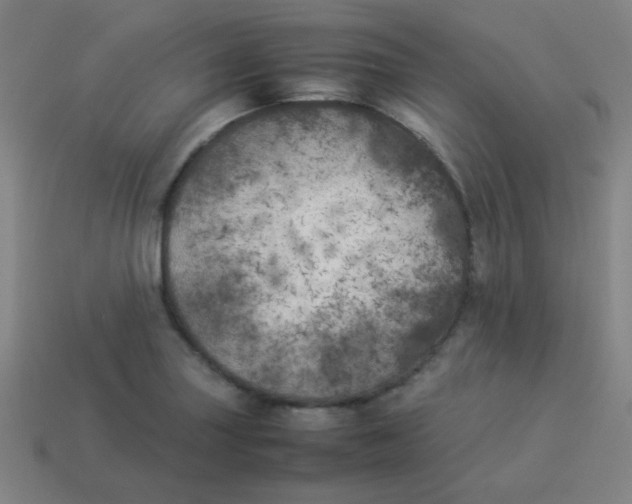 X0000113891227200910221410