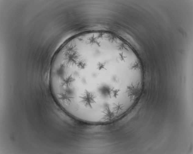 X0000113891228200910221410