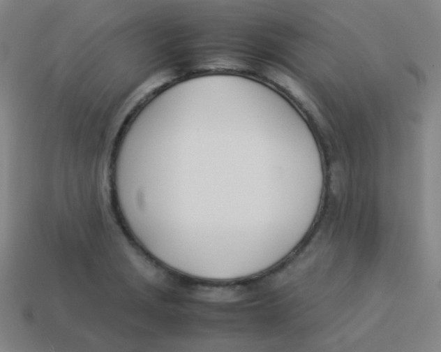 X0000113891229200910221410