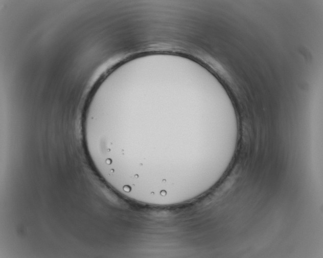 X0000113891230200910221410
