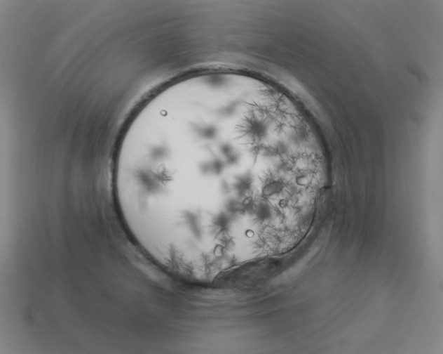 X0000113891232200910221410