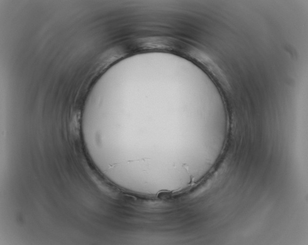 X0000113891233200910221410