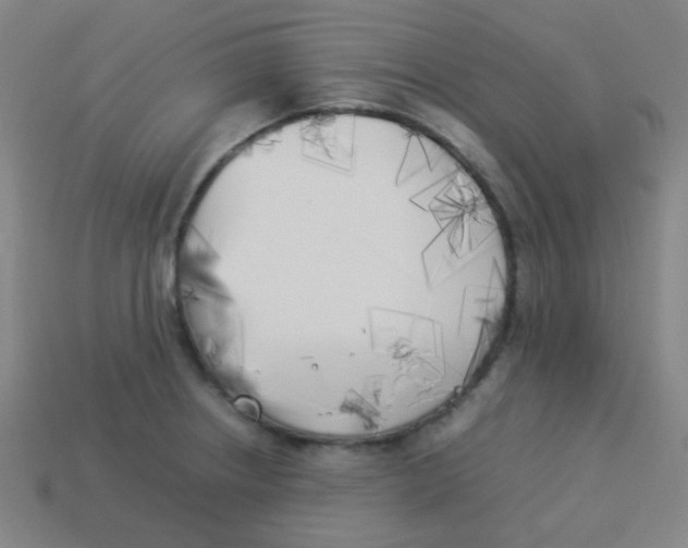 X0000113891234200910221410