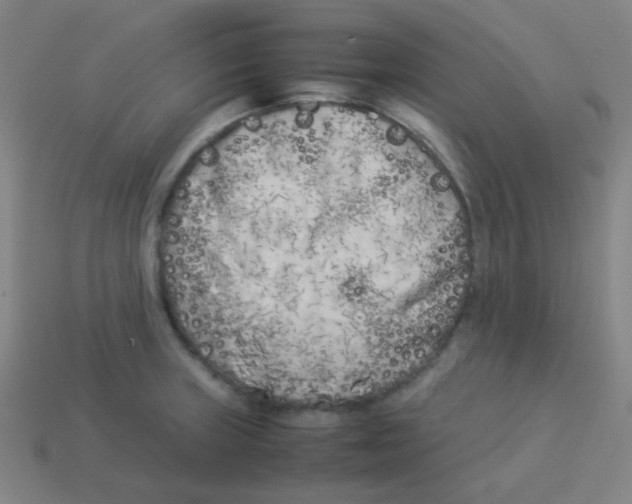 X0000113891235200910221410