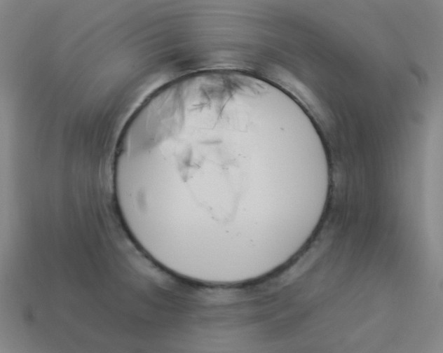 X0000113891236200910221410