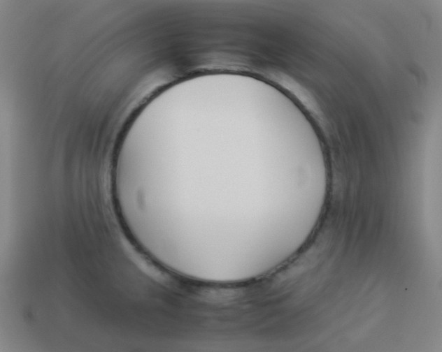 X0000113891237200910221410