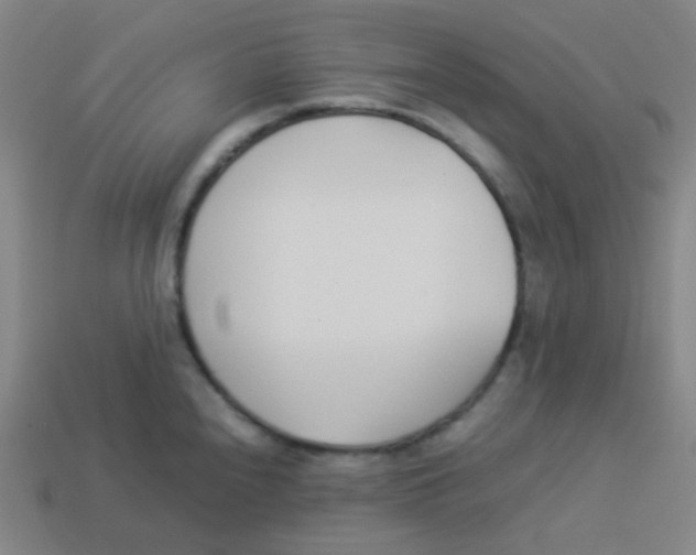 X0000113891240200910221410