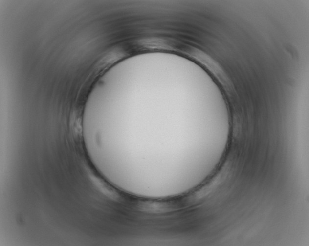 X0000113891241200910221410