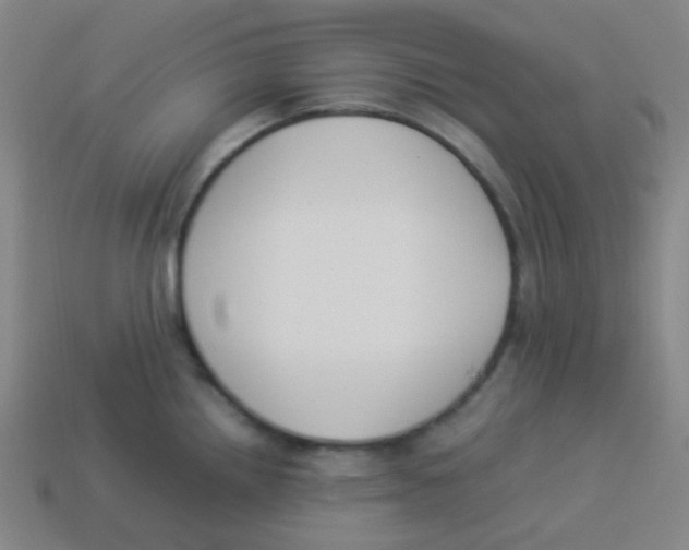 X0000113891242200910221410