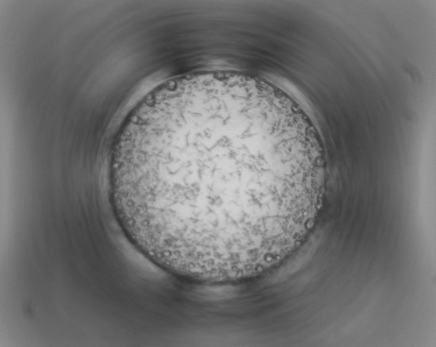 X0000113891243200910221410