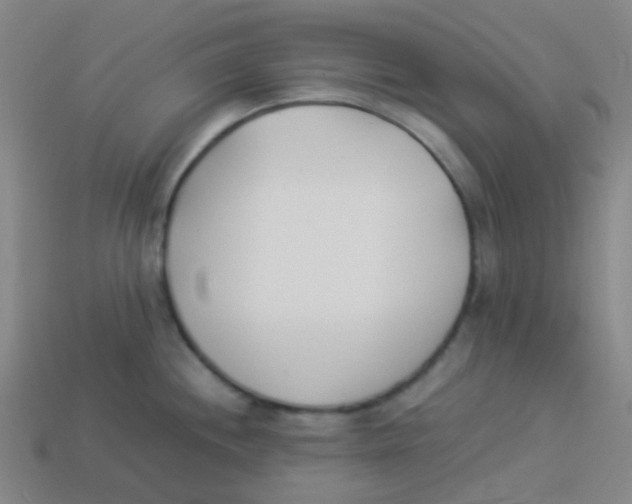 X0000113891244200910221410