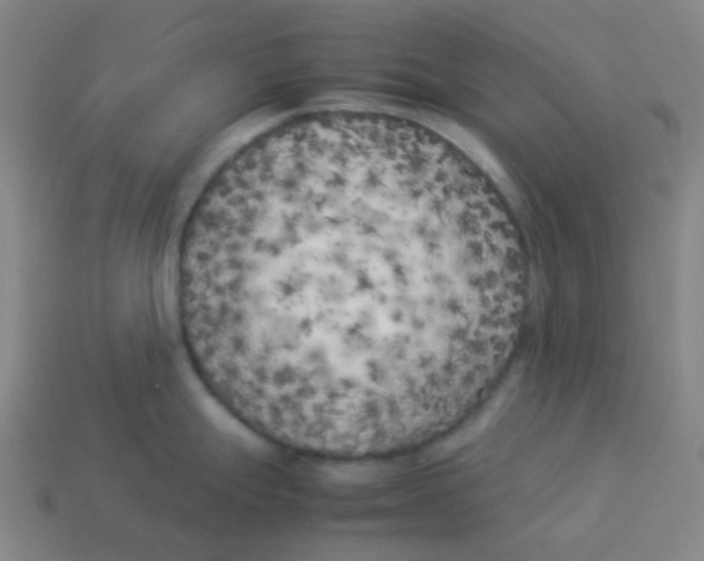 X0000113891247200910221410