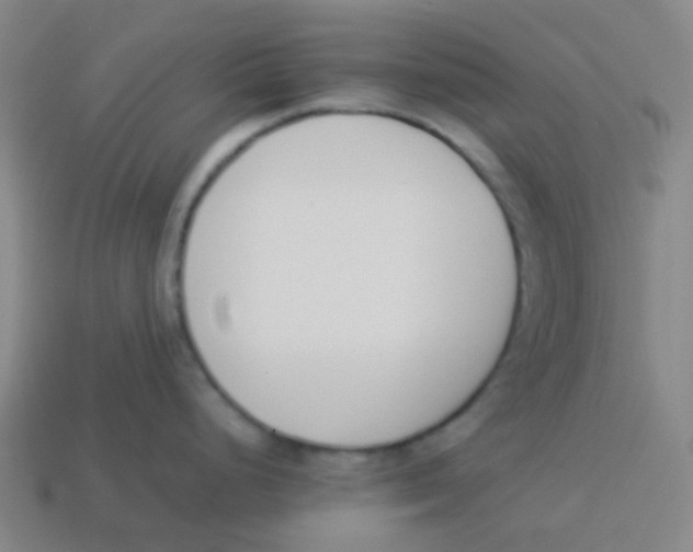 X0000113891248200910221410