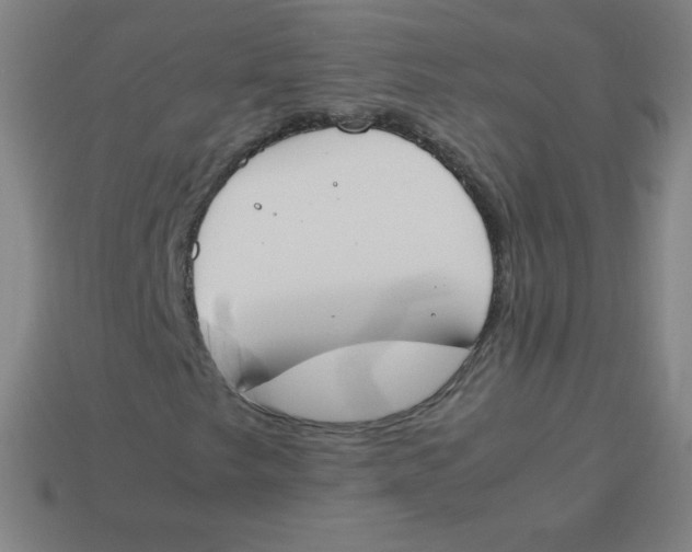 X0000113891249200910221409
