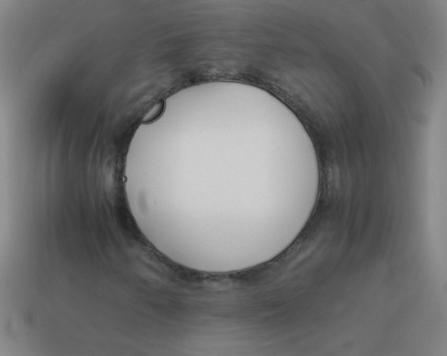X0000113891250200910221409