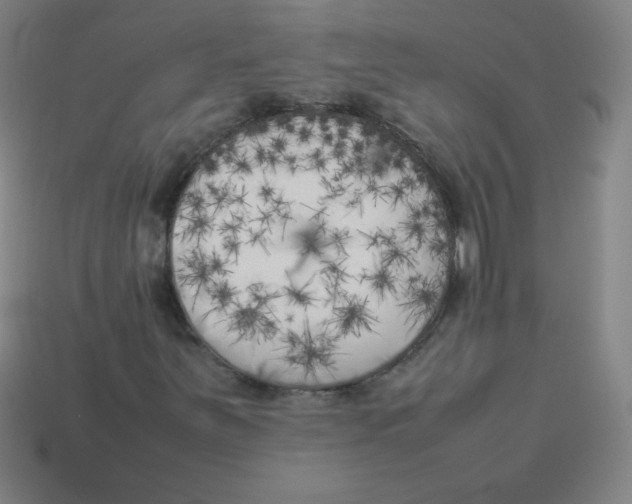 X0000113891251200910221409