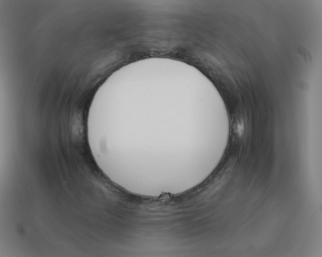 X0000113891252200910221409