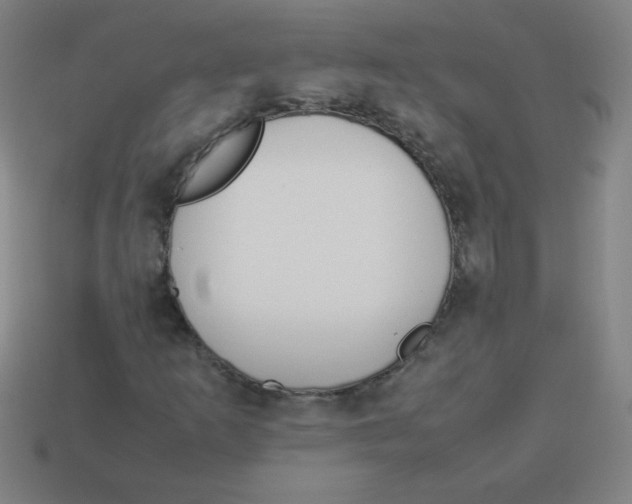 X0000113891253200910221409