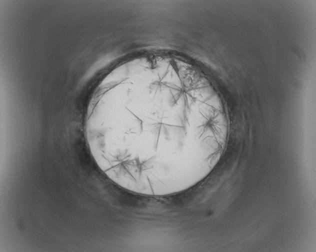 X0000113891255200910221409