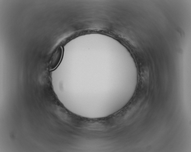 X0000113891256200910221409