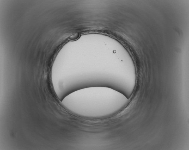 X0000113891257200910221409