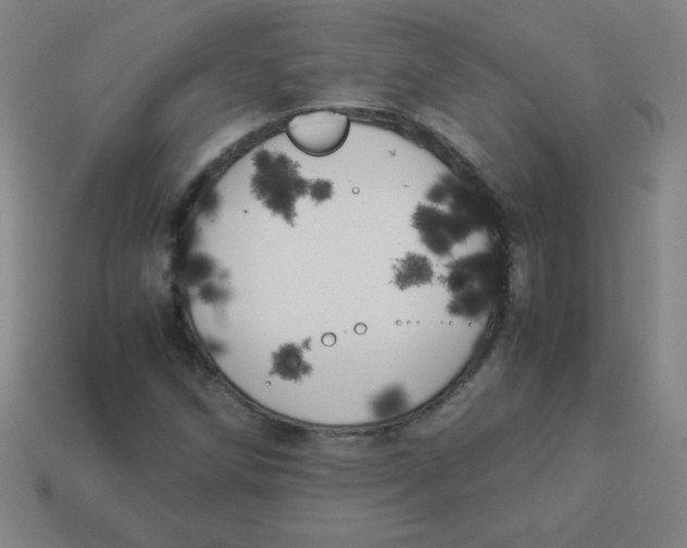 X0000113891258200910221409