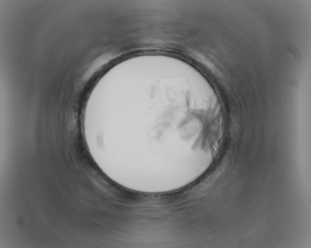X0000113891259200910221409