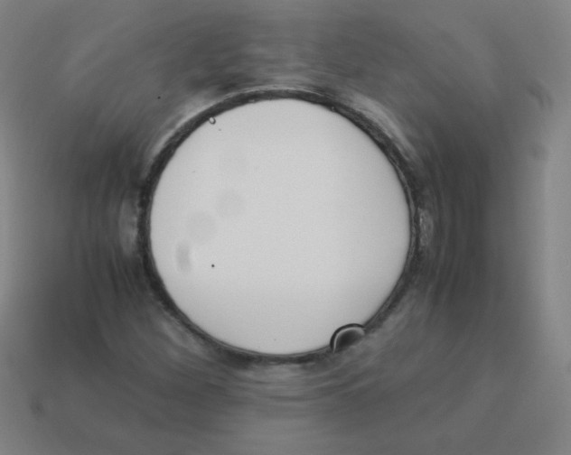 X0000113891260200910221409