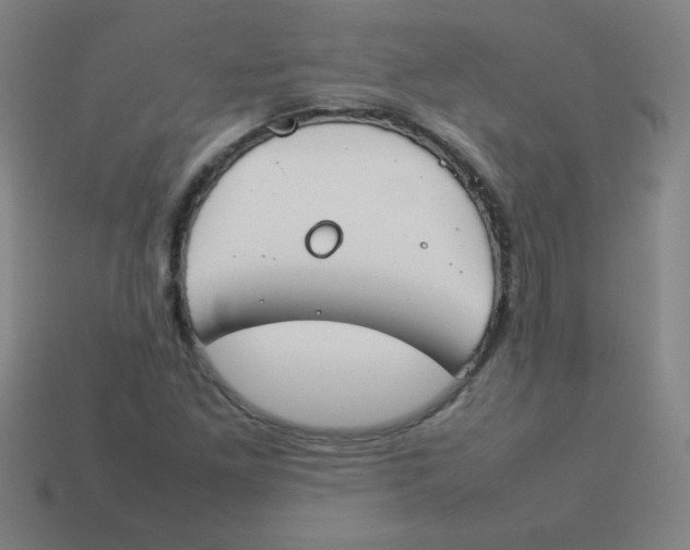 X0000113891261200910221409