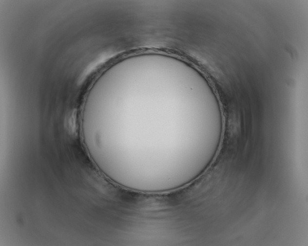 X0000113891262200910221409
