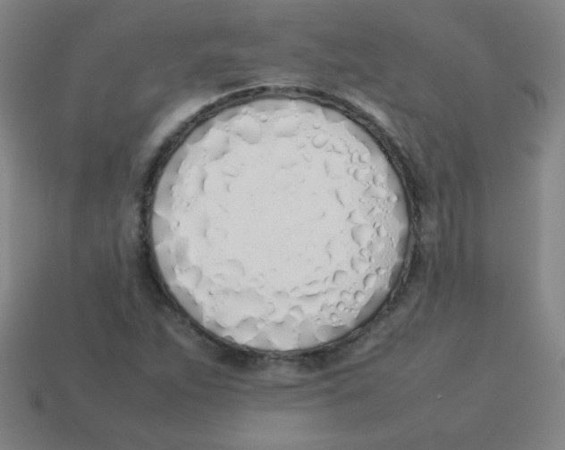 X0000113891263200910221409