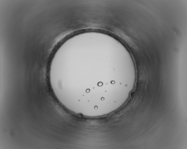 X0000113891264200910221409