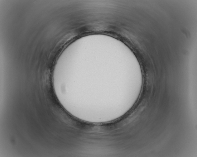 X0000113891265200910221409