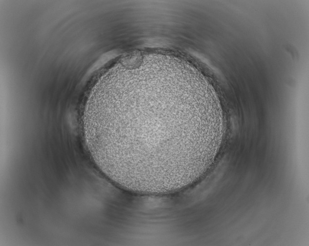 X0000113891266200910221409