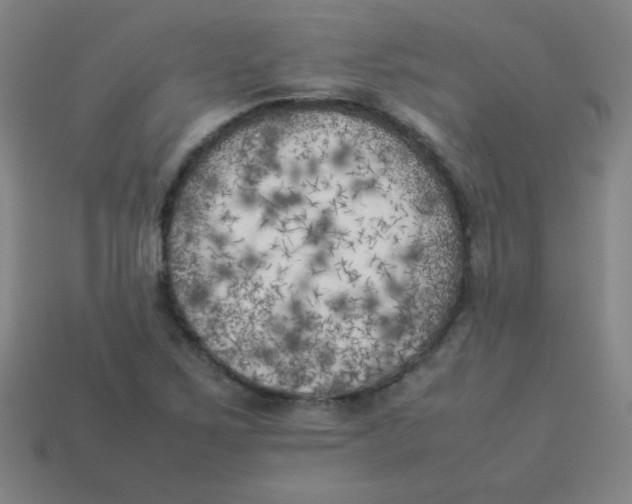 X0000113891267200910221409