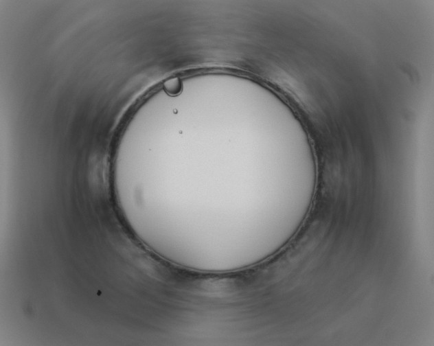 X0000113891268200910221409