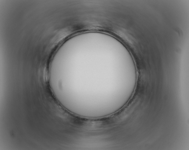 X0000113891269200910221409