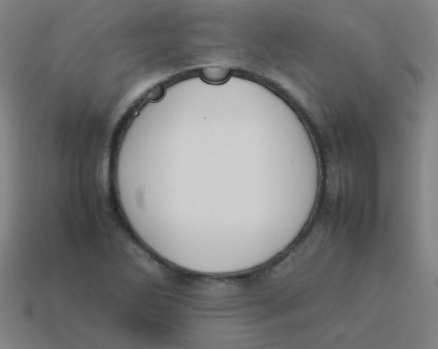 X0000113891270200910221409