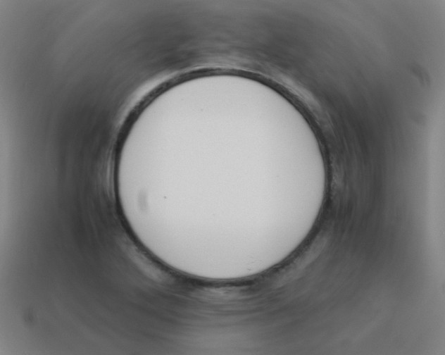 X0000113891272200910221409