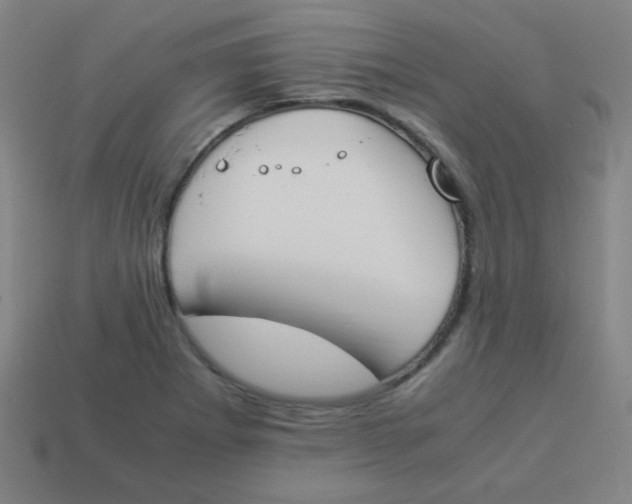 X0000113891273200910221409