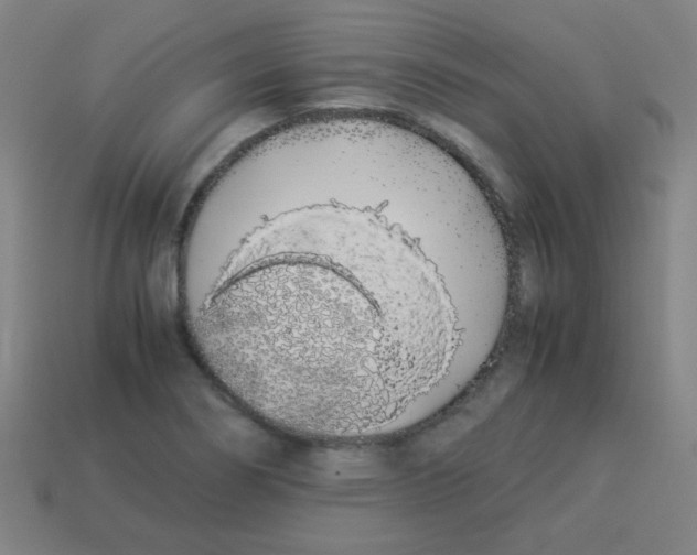 X0000113891274200910221409