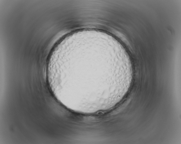 X0000113891275200910221409
