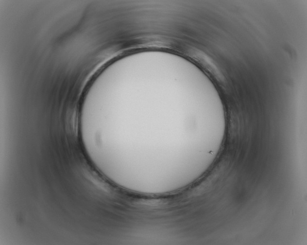 X0000113891276200910221409