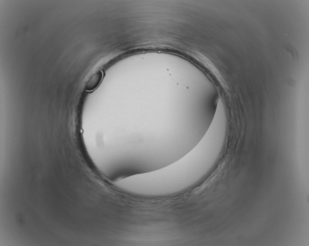 X0000113891277200910221409