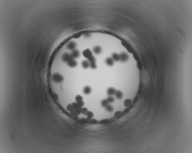 X0000113891278200910221409