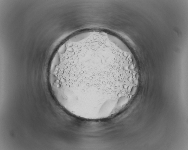 X0000113891279200910221409