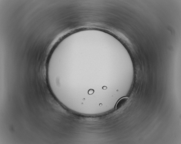 X0000113891280200910221409